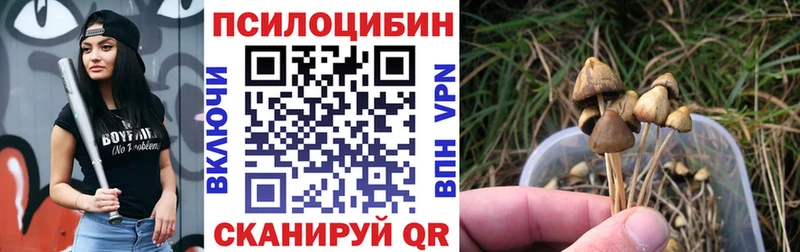Галлюциногенные грибы GOLDEN TEACHER  Лагань 